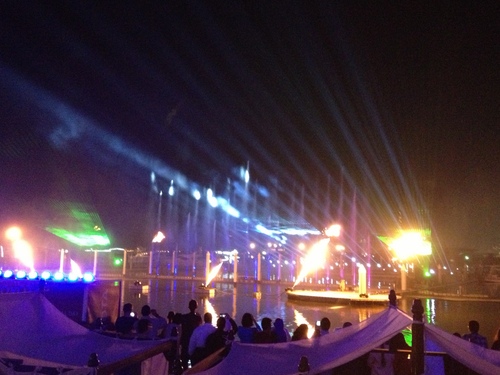 dsf2013 085.JPG